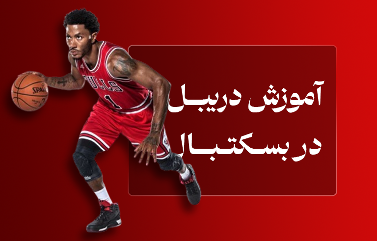 Dribbling training in basketball: from beginner to professional
